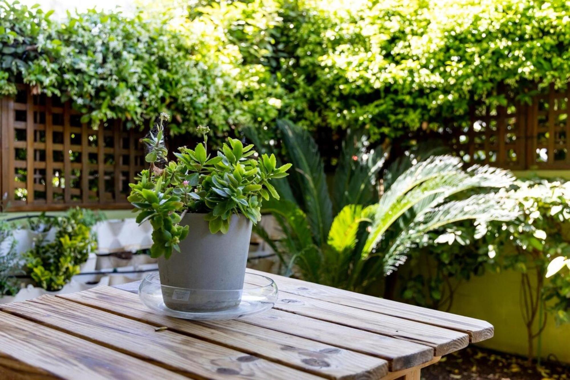 The Garden House At Alimos Apartment Atena Exterior foto
